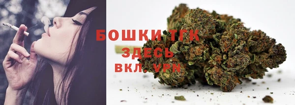 индика Горно-Алтайск