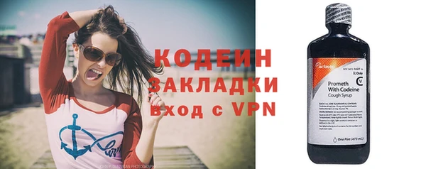 индика Горно-Алтайск