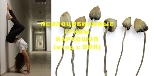 mix Горнозаводск