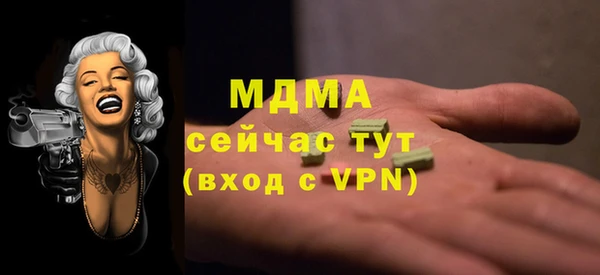 индика Горно-Алтайск