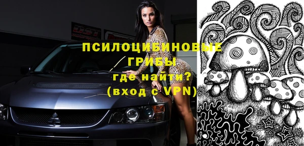 индика Горно-Алтайск