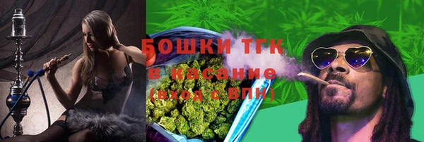 индика Горно-Алтайск
