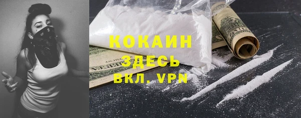индика Горно-Алтайск