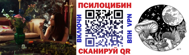 Псилоцибиновые грибы Magic Shrooms  Купить  Кашин 